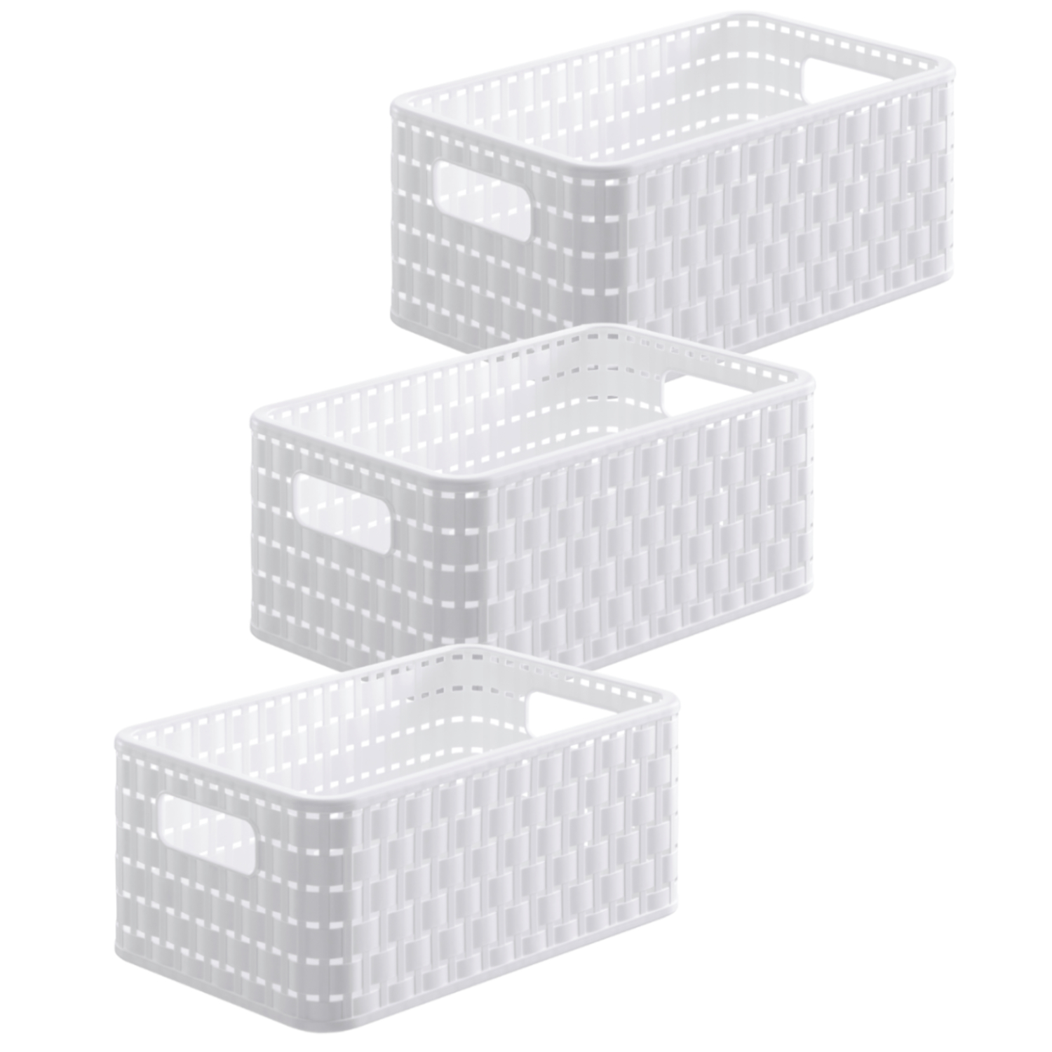 Rotho Aufbewahrungs-Box Büro Ordnungs-Kiste Plastik Korb mit Deckel Kunststoff